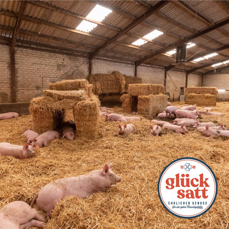 Aktivstall Glücksatt
