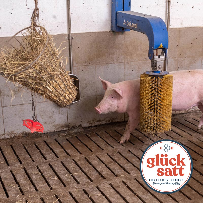 Aktivstall Glücksatt