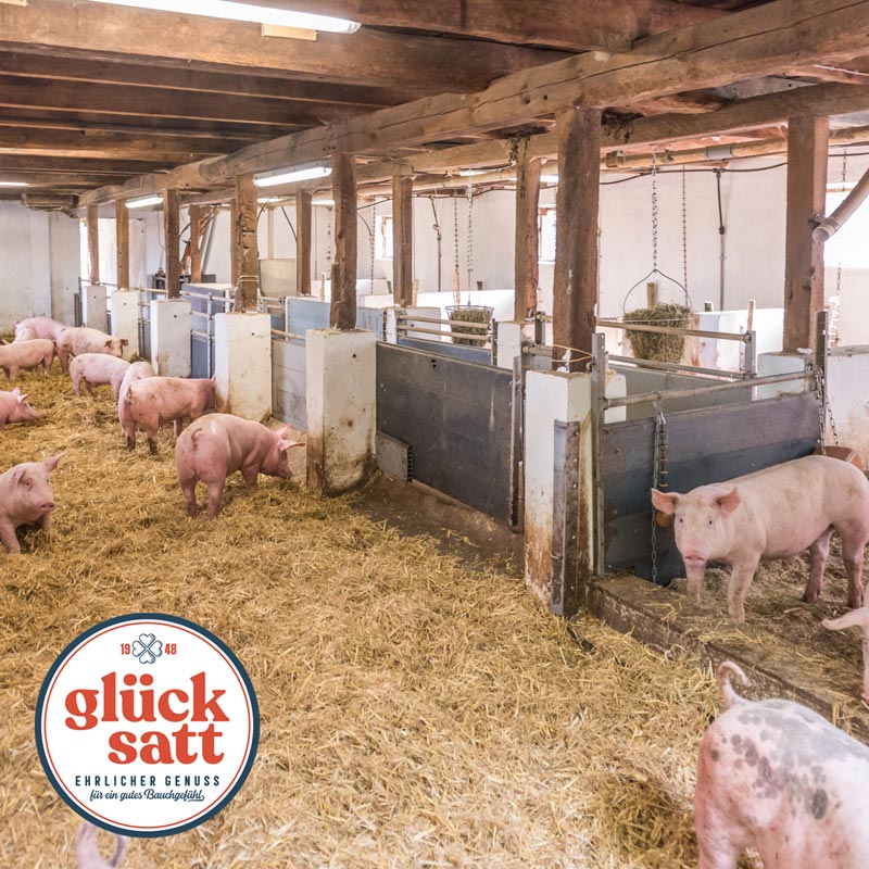 Aktivstall Glücksatt